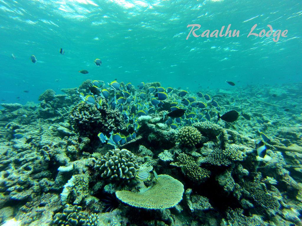 הימפושי Raalhu Lodge מראה חיצוני תמונה